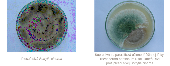 Trichomil 1